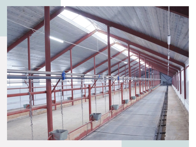 Строительство коровников в Нововоронеже от 607 руб.