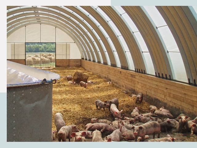 Строительство свинарников в Нововоронеже