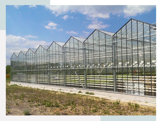 Строительство теплиц в Нововоронеж от 607 руб. за м²